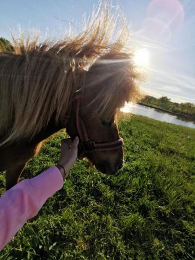 Dom Nad Rozlewiskiem Połczyn-Zdrój Esterno foto